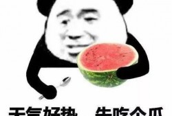 带你吃瓜族,带你领略“吃瓜族”的独特魅力与生活态度