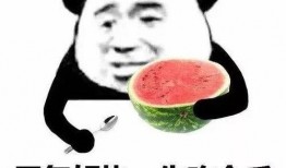 带你吃瓜族,带你领略“吃瓜族”的独特魅力与生活态度