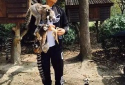 孙俪给人洗脚吃瓜,亲自为粉丝洗脚吃瓜，尽显明星亲和力