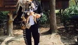 孙俪给人洗脚吃瓜,亲自为粉丝洗脚吃瓜，尽显明星亲和力