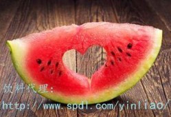 羊瓜怎吃,解锁健康美味新吃法