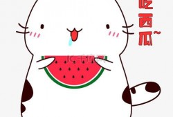 吃瓜吃鲤鱼图片表情包,吃瓜群众笑翻天！