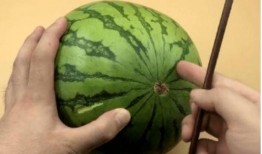 吃瓜30载,见证娱乐圈风云变幻