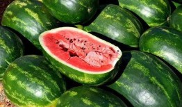 吃瓜大全图片真实,一场视觉盛宴背后的真实故事