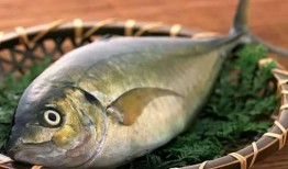 吃瓜鱼半仙,神秘占卜背后的传奇故事