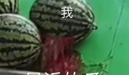 吃瓜风暴,揭秘娱乐圈幕后真相