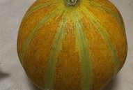 瓜壳孕妇可以吃吗,安全与营养两不误