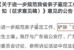 亲子鉴定吃的瓜,一场家庭伦理的漩涡