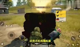 鸡哥吃老瓜,一场意外的美食之旅