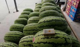 龙文水岸吃瓜,夏日吃瓜盛宴，畅享清凉时光