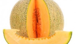 哈密瓜能晒干吃,探索哈密瓜晒干新食尚