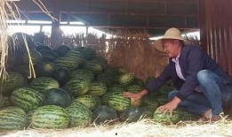 昆明呈贡吃瓜事件,一场网络热议背后的真相与反思