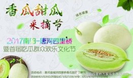 吃瓜的大咖,幕后故事大公开