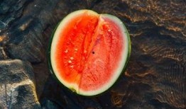 围鹿吃瓜,揭秘娱乐圈的甜蜜与苦涩