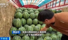 保定雄县吃瓜,保定美食之旅