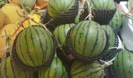 网料吃瓜,揭秘娱乐圈幕后真相