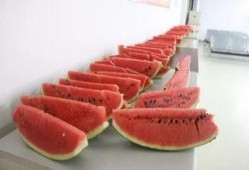 龙文水岸吃瓜,夏日吃瓜盛宴，畅享清凉时光