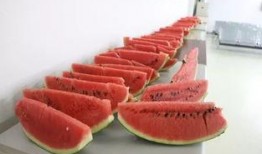 龙文水岸吃瓜,夏日吃瓜盛宴，畅享清凉时光