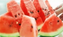 附首瓜怎么吃,附首瓜的独特食用方法揭秘