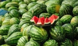 乾隆吃瓜解渴,吃瓜解渴趣谈