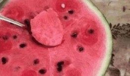 乾隆吃瓜解渴,吃瓜解渴趣谈