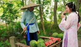 常乐吃瓜,揭秘娱乐圈那些不为人知的幕后故事