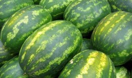 吃瓜风暴,揭秘娱乐圈幕后真相