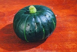 贝贝瓜的吃,探寻瓜果中的甜蜜诱惑