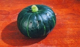 贝贝瓜的吃,探寻瓜果中的甜蜜诱惑