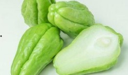 附首瓜怎么吃,附首瓜的独特食用方法揭秘