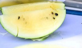 香港弟弟吃瓜,揭秘娱乐圈幕后故事